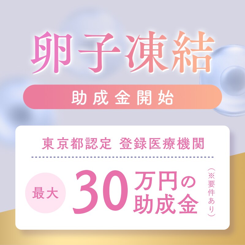 卵子凍結助成金開始