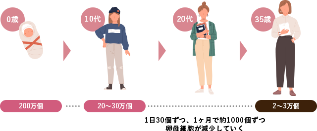1日30個ずつ、1ヶ月で約1000個ずつ卵母細胞が減少していく