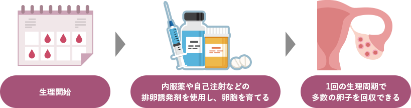 生理開始→内服薬や自己注射などの排卵誘発剤を使用し、卵胞を育てる→1回の生理周期で多数の卵子を回収できる