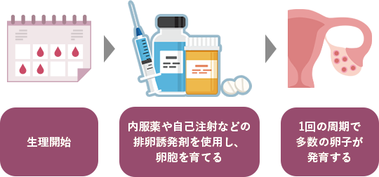 生理開始→内服薬や自己注射などの排卵誘発剤を使用し、卵胞を育てる→1回の生理周期で多数の卵子を回収できる