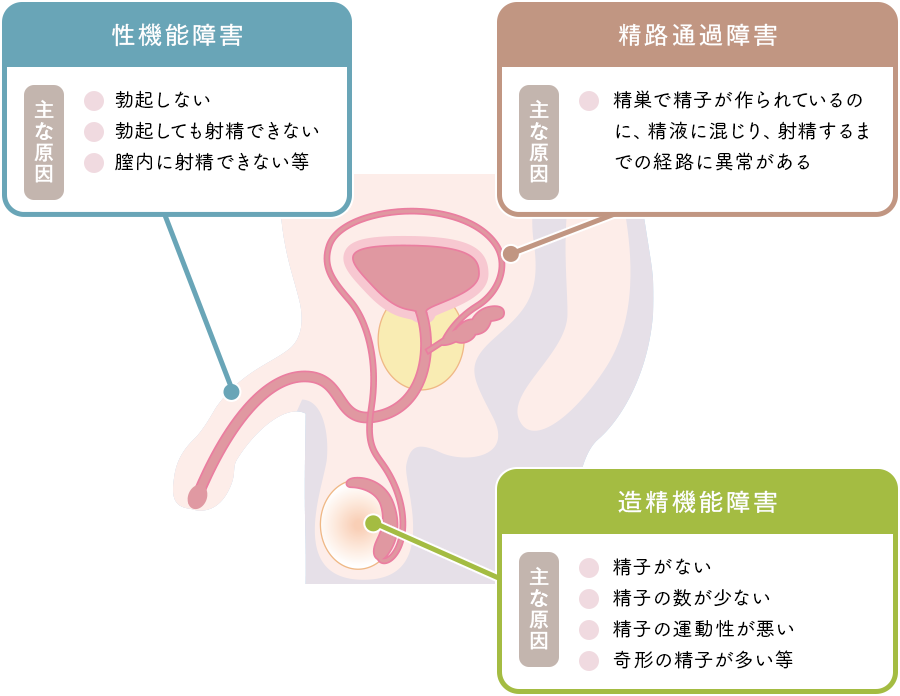 男性側の原因